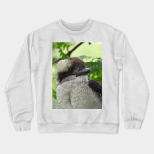 Kookaburra Crewneck Sweatshirt